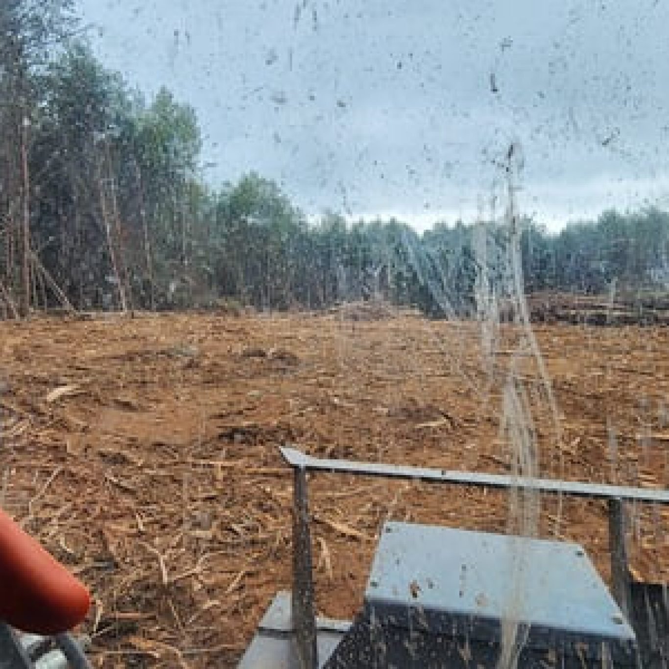 Forestry Mulching in Central Virginia