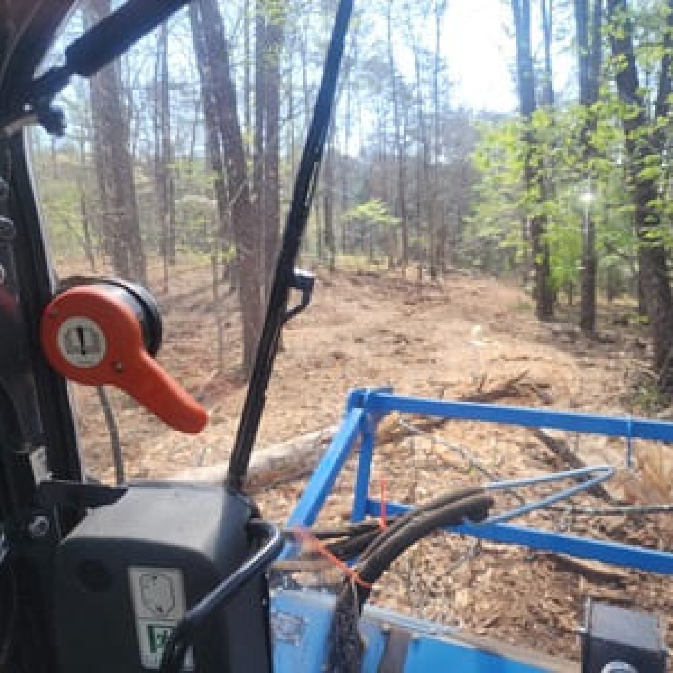 Forestry Mulching Near me