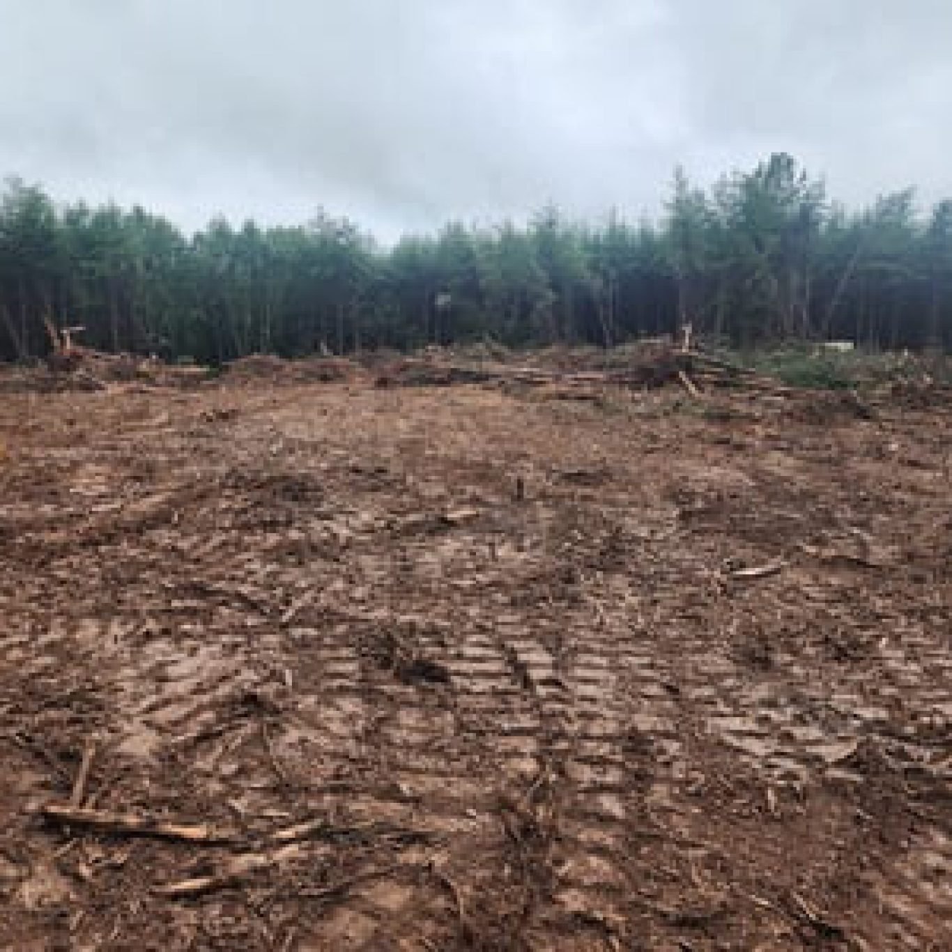 Land Clearing in Central Virginia