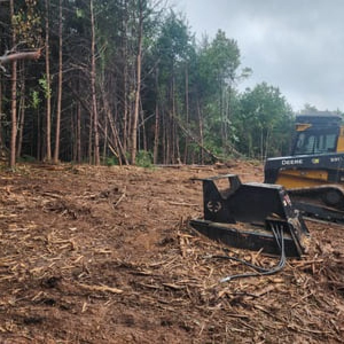 Land Clearing Near Me